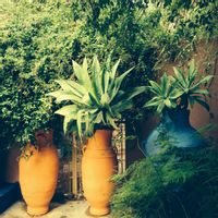 Charmante maison traditionnelle et cosy