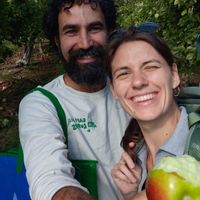 Cozy family- and dog-friendly home in the heart of Waterville.