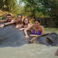 La maison de Domenico