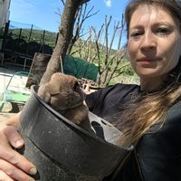 Jolie maison logée au coeur des vignes, mais proche de toutes les commodités.