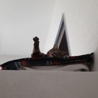 La maison de Elisabeth