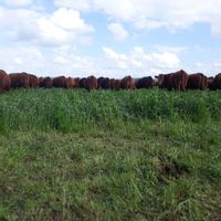 La maison de María C.