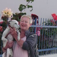 Grande maison avec jardin. Plages et centre ville de Paimpol à 3kms