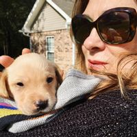 La maison de Elizabeth