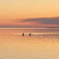 La maison de Martina