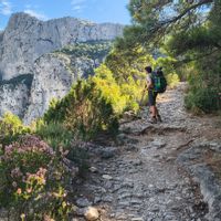 Un air de campagne à 5 min du centre de Lyon
