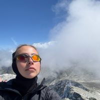 Petit nid dans le ciel de Paris