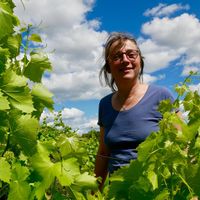 La Mas de Boissonnade au coeur des vignes