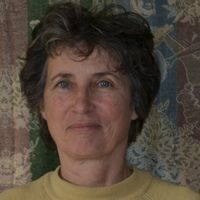 Appartement ensoleillé et spacieux