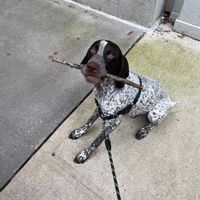 Magnifique appart dans le marais