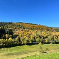La maison de T.Shahid