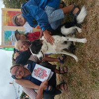 Notre maison entourée par la forêt