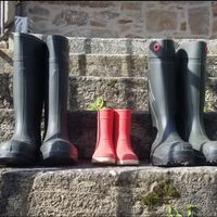 Maison cocooning lotoise