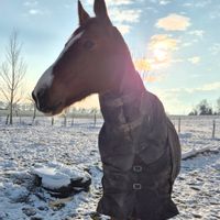 La mini-ferme de Jessica