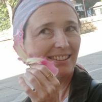 Belle vue sur les montagnes.