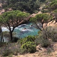 l'appartement de Nelly