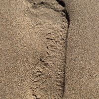 Chez Alain Ancienne demeure 1900 entièrement rénovée dans un parc de 5000 m2 proche des Pyrénées.