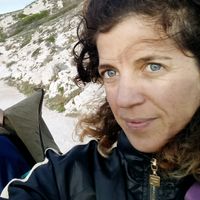 L'appartement de Magali & co : un coup-de-coeur dans un écrin de verdure à Bruxelles