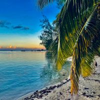 La maison container de Thomas et Cécile à Moorea  devant la plage publique de Tiahura.