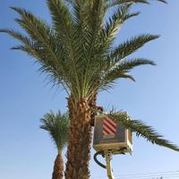 Eilat, by the sea, near shops, synagogue, restaurants, buses, parking