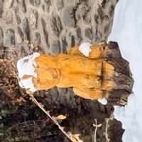 Encantadora casa de madera