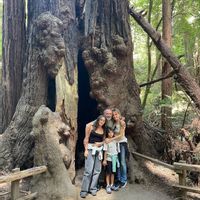 La maison de giulietta