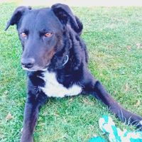 La maison de Patrick Maison individuelle 5 chambres village de 1200 habitants , commerces sur place