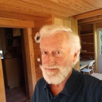 Maison en ville enveloppée de végétation - grande terrasse