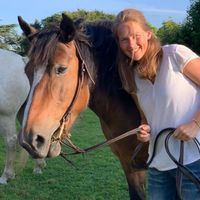 Appartement 2-3 personnes entre mer et montagne dans les Pyrénées orientales