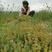 La petite maison de Marie