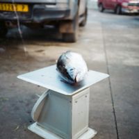 Appartement chaleureux, 2 chambres, au cœur du centre ville de Douarnenez.