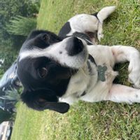 Casale Gole del Farfa