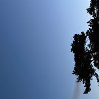 La chambre privée de Rafael