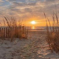 Maison au cœur des vignes