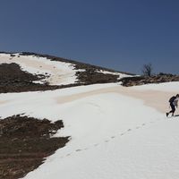 La maison de Daniella