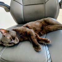 Maison 4 chambres dont une chambre bébé/jeune enfant, proche plages, villes et campagnes normandes