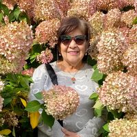 Casa de Emiliaina kuća