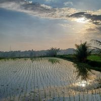 Villa très chaleureuse, salon-salle à manger ouverts sur un beau jardin tropical, piscine spacieuse