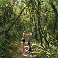 Maison de campagne aux portes des Cévennes