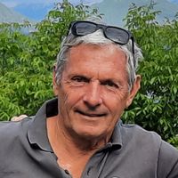 les oliviers du luberon