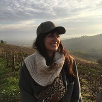 Appartement charmant de centre ville