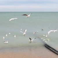 Appartement 8 personnes, 5 mn à pied de la mer; au cœur des plages du débarquement .