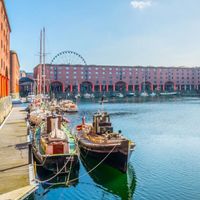 Maison spacieuse en Bretagne avec jacuzzi, grands espaces et animaux bienvenus