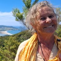 Petite maison avec terrasse et seaview sur great barrier island