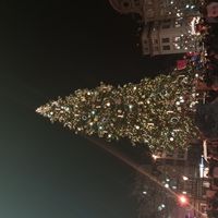 Appart familial spacieux cosy hypercentre Strasbourg