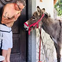 La maison de Guglielmo