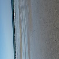 Ilan’s family ☀️s hus