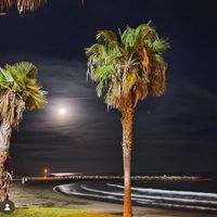 Michelle y Benjis hus