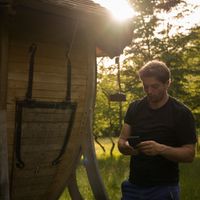Cabane insolite dans les bois