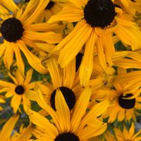 Famille de Stéphanie & Alain's house